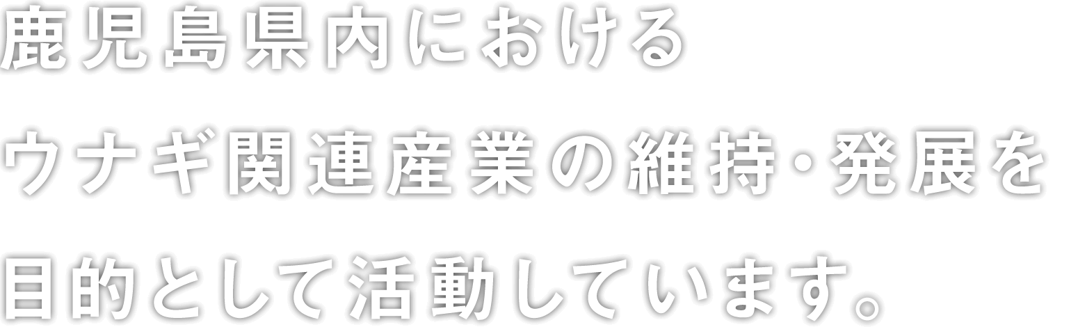 鹿児島県内におけるウナギ関連産業の維持・発展を目的として活動しています。